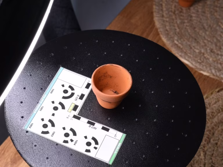 Pot 3